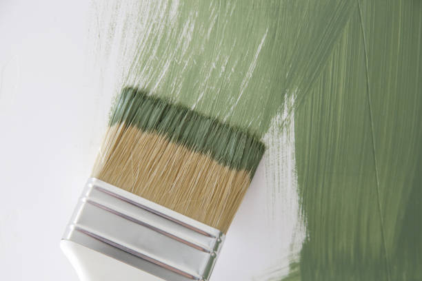 Mold Remediation for Vacation Homes in Niagara, WI
