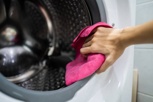 Reliable Niagara, WI Mold Removal Solutions