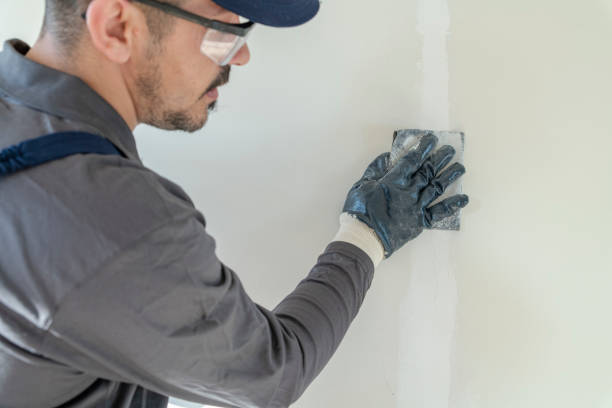 Best Attic Mold Removal  in Niagara, WI