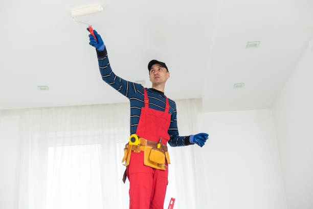 Best Asbestos and Lead Testing During Mold Inspection  in Niagara, WI