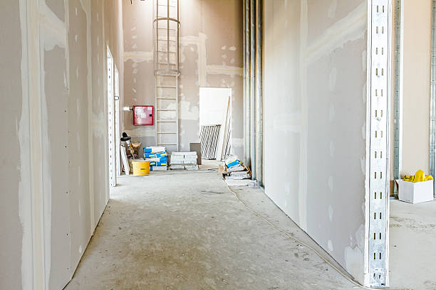 Best Comprehensive Air Testing for Mold Contaminants  in Niagara, WI