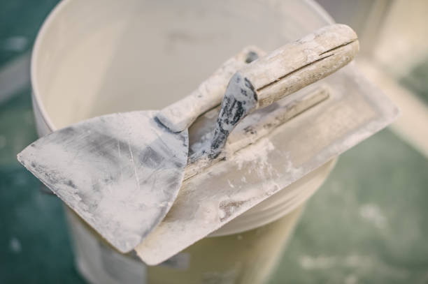 Best Emergency Mold Remediation  in Niagara, WI